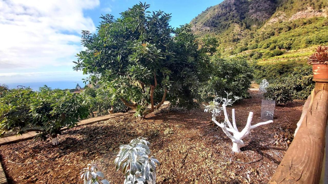 La Resbala - Casa Azul Ferienhaus La Orotava