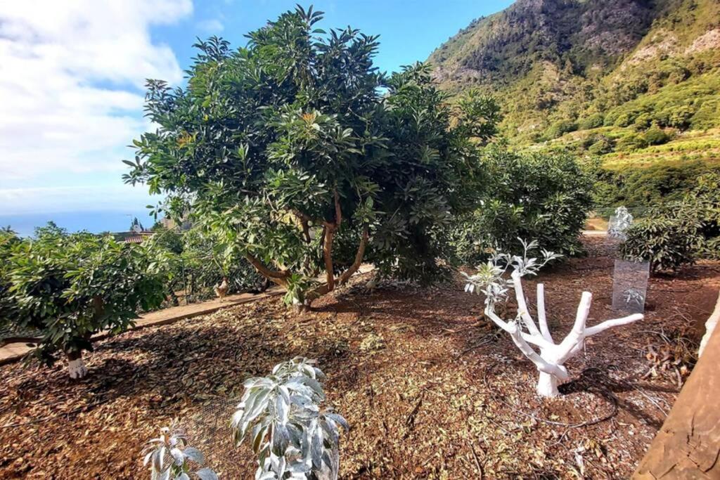 Holiday home La Resbala - Casa Azul *